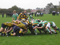 Scrum